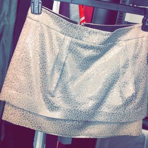 Metallic Skirt